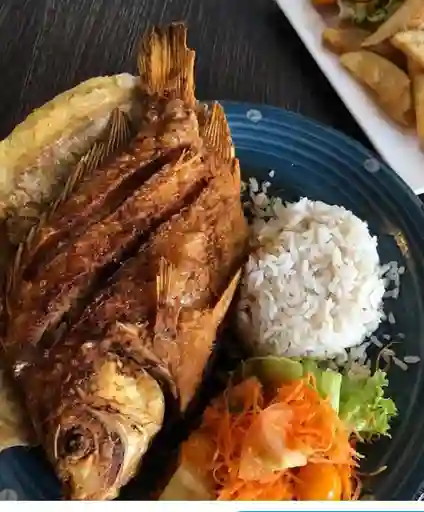 Corvina