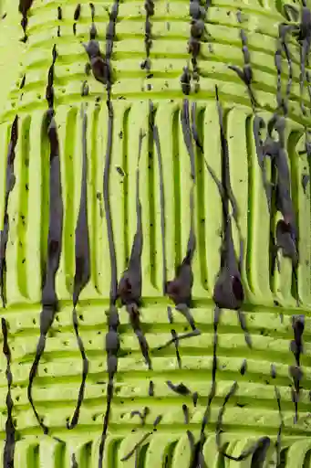 Menta Oreo