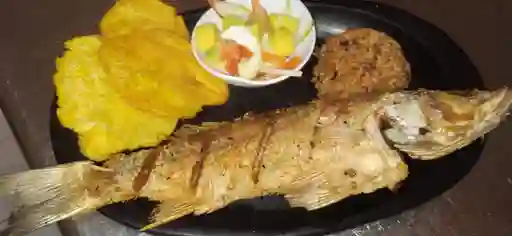 Sierra Frita