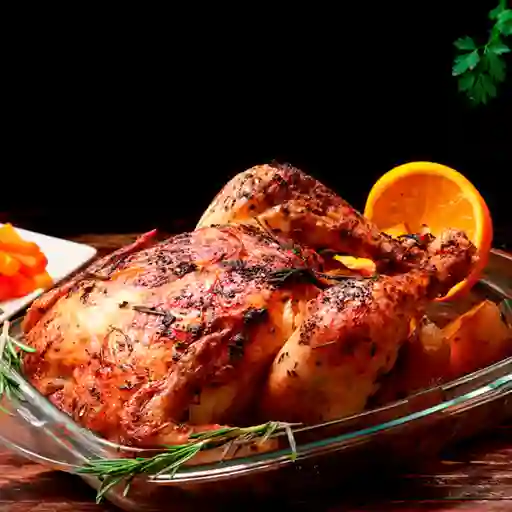 Pollo