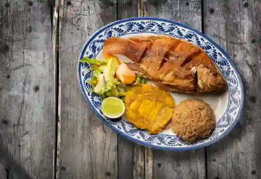 Bandeja con Tilapia Roja