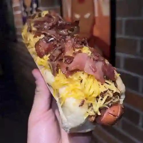 Perro Mixto