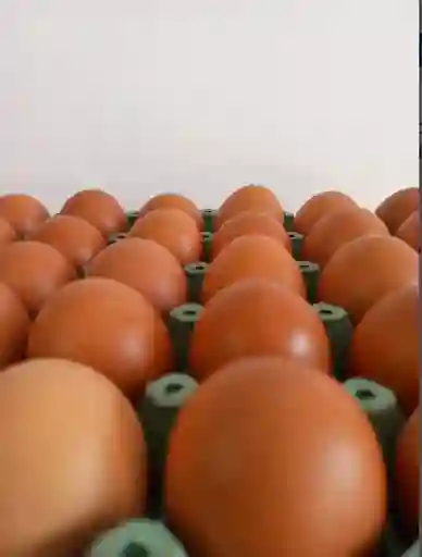 Huevos Aa