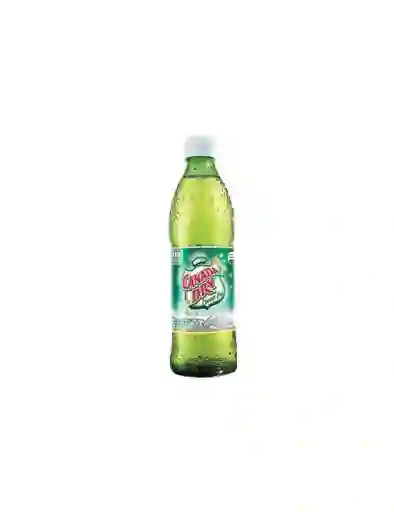 Canada Dry Ginger Ale 330 ml