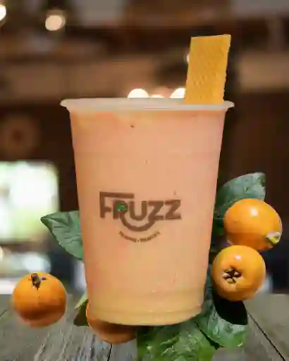 Fruzz de Nispero 16 Oz
