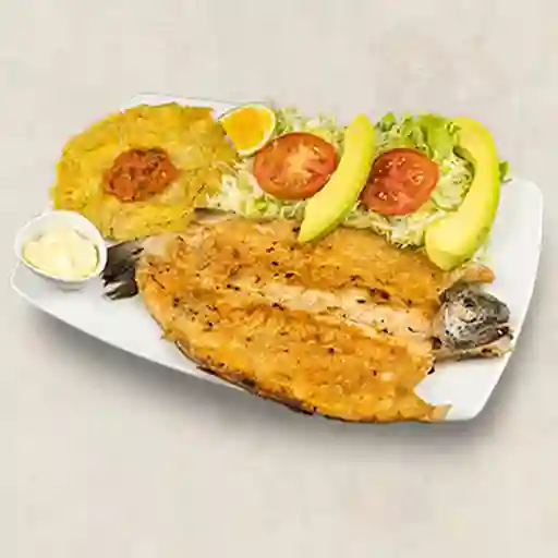 Asado de Trucha