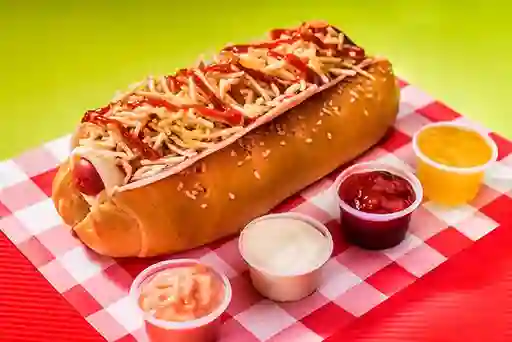 Perro Especial