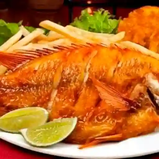 Mojarra