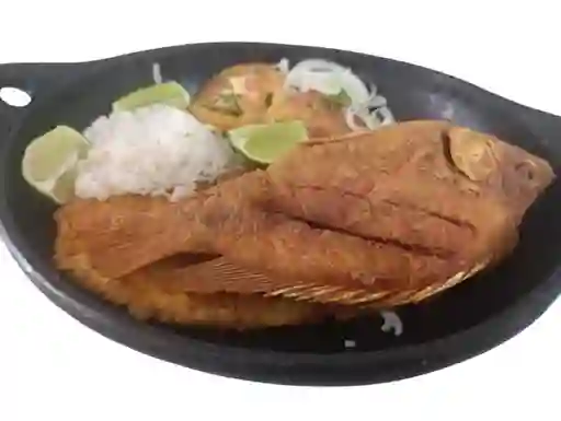 Tilapia Frita