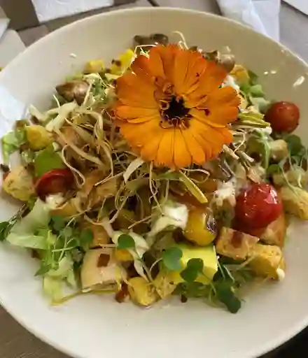 Ensalada Cesar