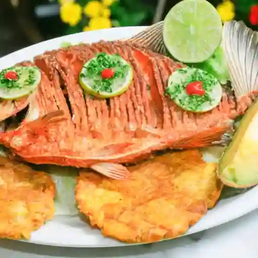 Cachama