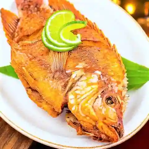 Mojarra Roja