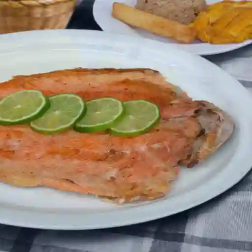 Media Trucha a la Plancha