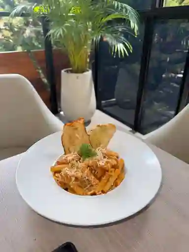 Bolognesa Primavera
