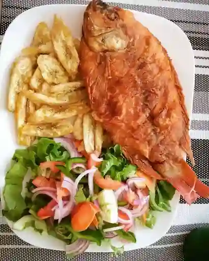 ⁠mojarra Frita
