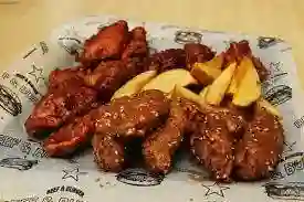 Wings X15