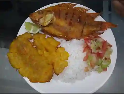 Tilapia Frita