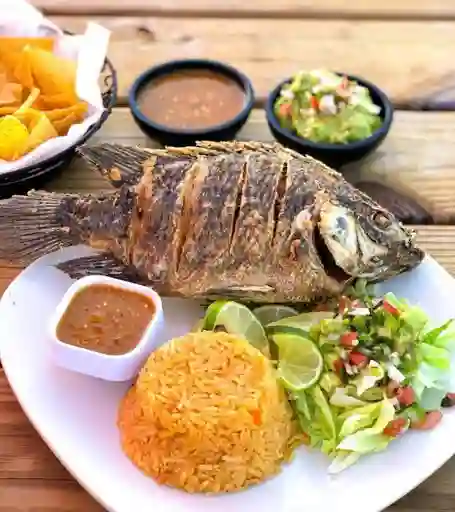Tilapia Frita