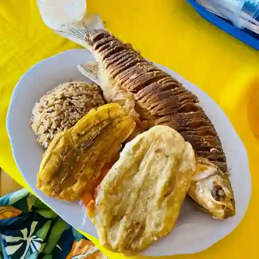 Bocachico Frito con Patacón