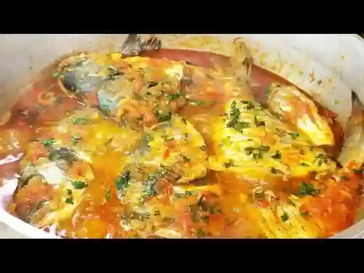 Azulejo en Salsa