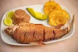 Bocachico Frito