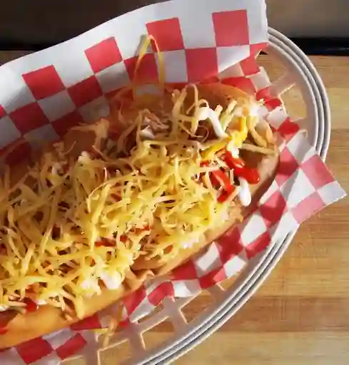 Perro Clasico