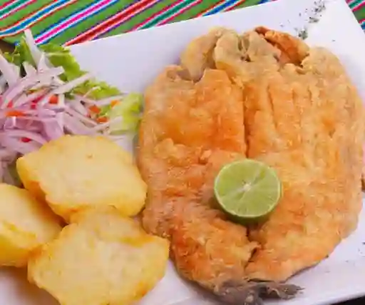 Trucha 600G