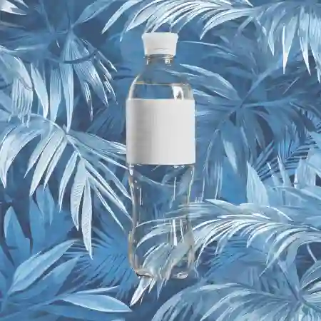 Agua 600ml