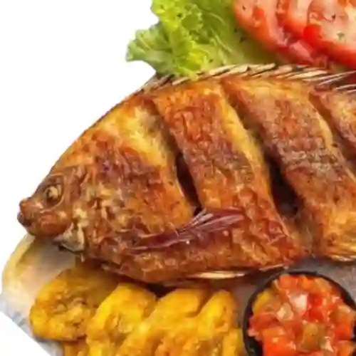 Mojarra Frita