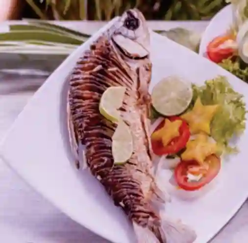Aborrajado de Rio