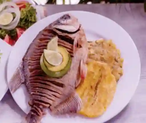 Gratinado en Champiñones de Rio