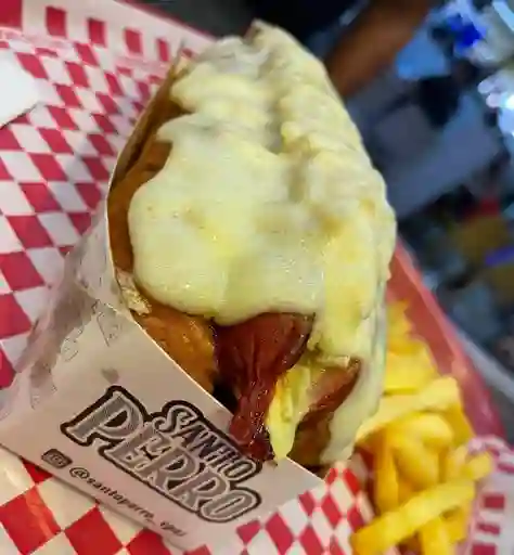 Perro Americano