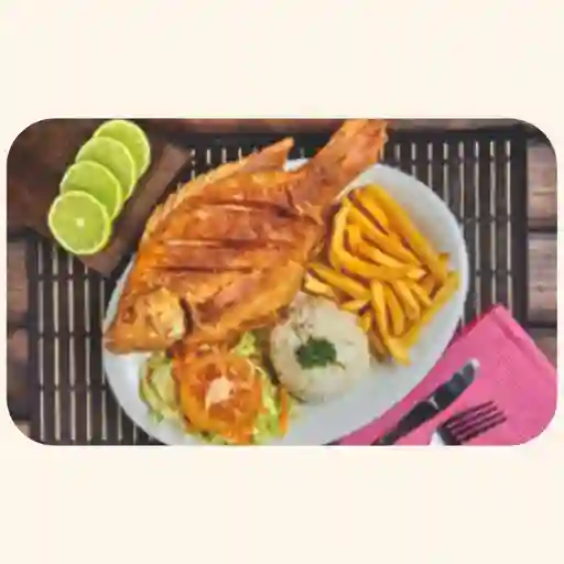 Tilapia