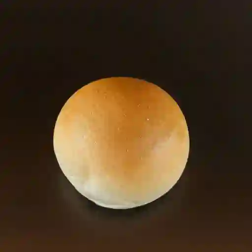 Pan Mogollita