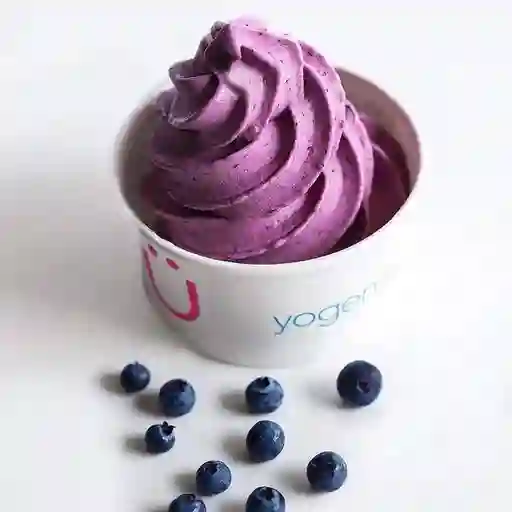 Frozen Yogurt M 12 Oz