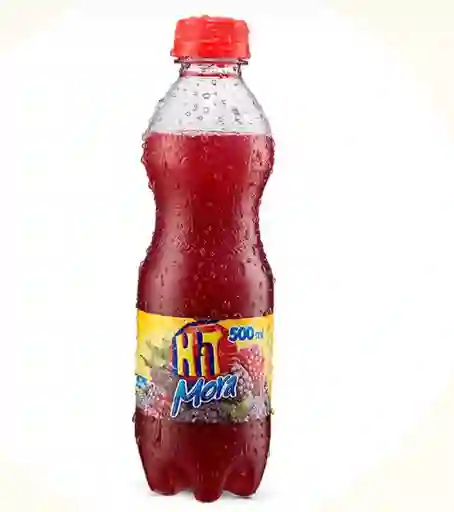 Jugo de Mora 500 Ml