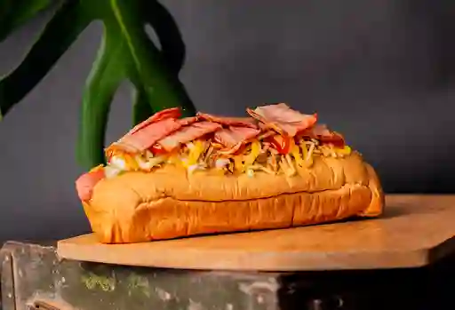 Perro Antiexplosivo