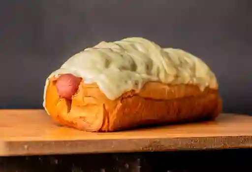 Perro Antinarcotico