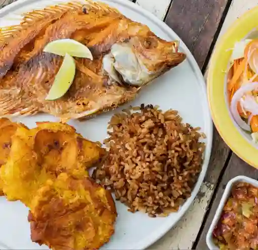 Tilapia Frita
