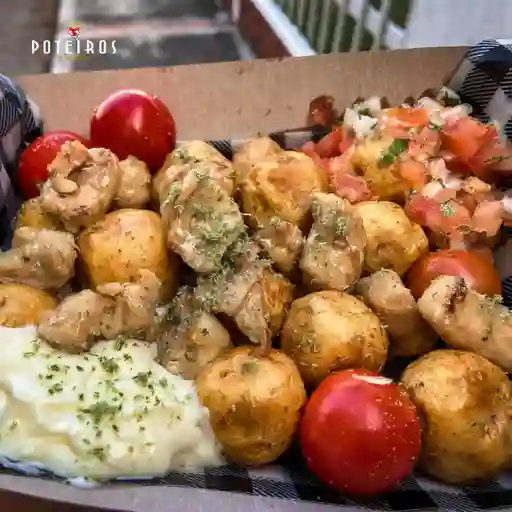 Papas Monarca