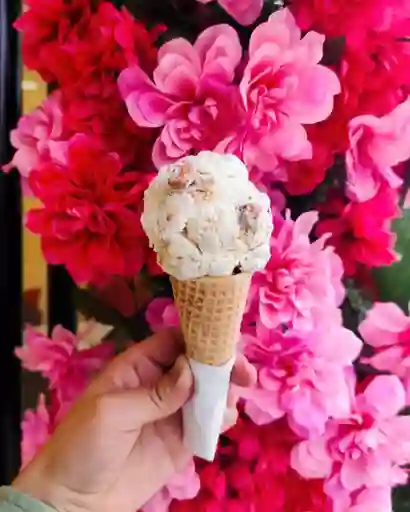 Gelato Gourmet Cono Sencillo