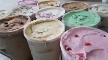 Gelato Gourmet Litro