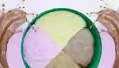 Gelato Premiun Litro