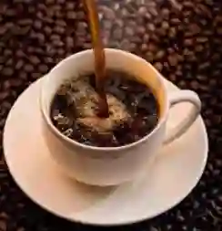 Café Criollo