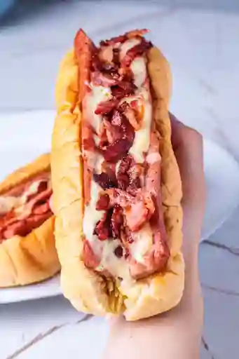 Perro Perri Mixto