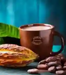Chocolate Negro Intenso