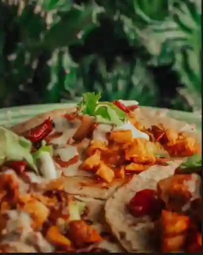Taco Tinga de Pollo