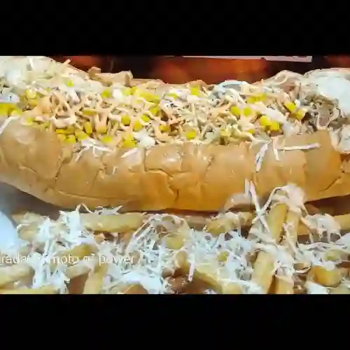 Perro Sencillo