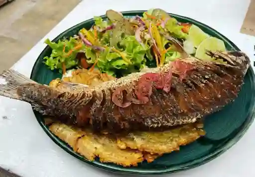 Bocachico Frito