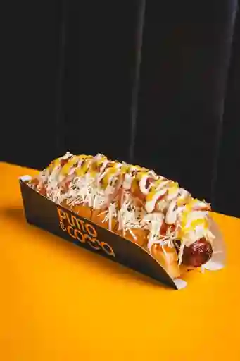 Perro Suizo Mexicano